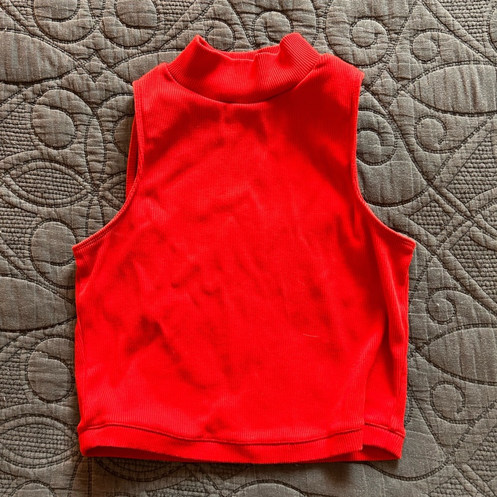 Everlane sleeveless ribbed mockneck slightly cropped top